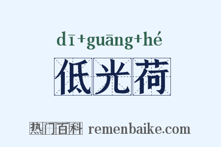低光荷是什么意思的图片